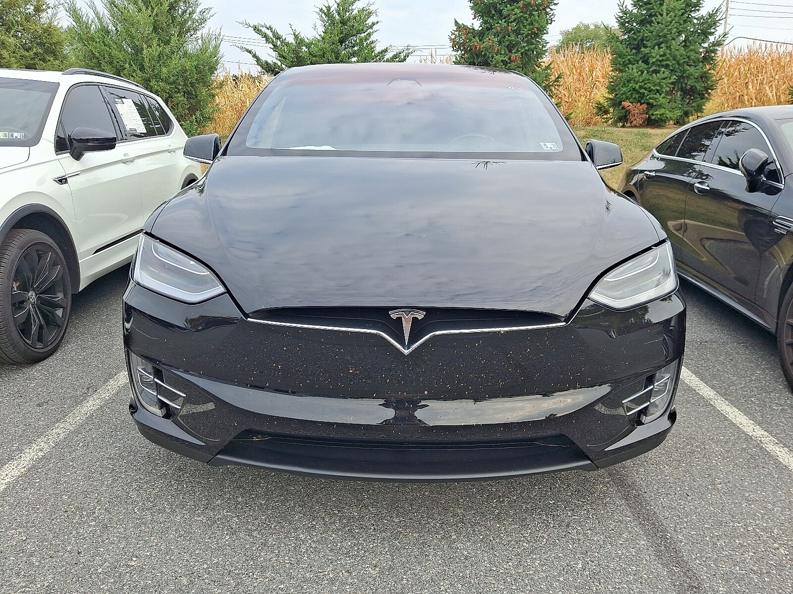 2018 Tesla Model X 75D photo 2