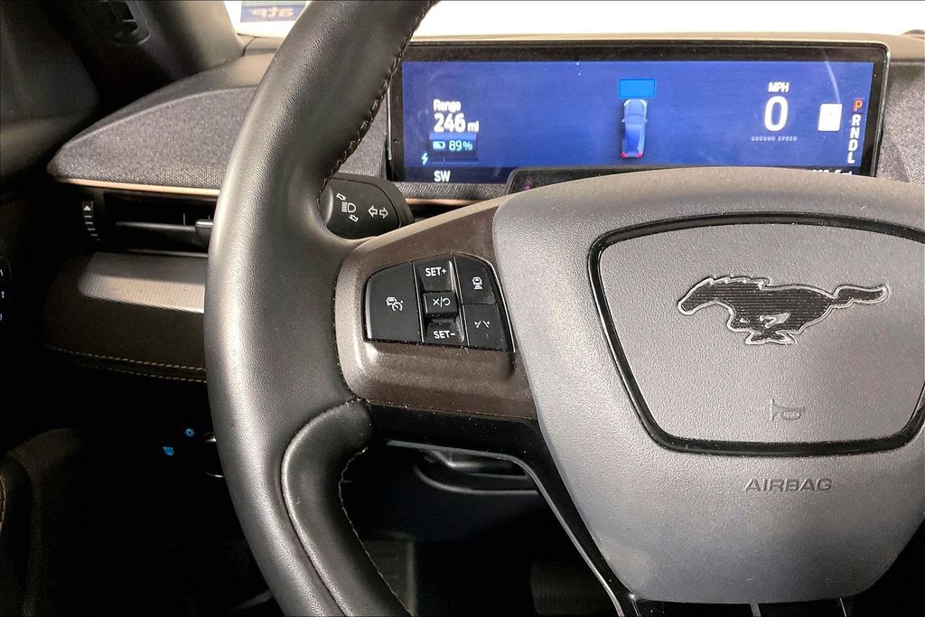 2022 Ford Mustang Mach-E GT AWD - Photo 17