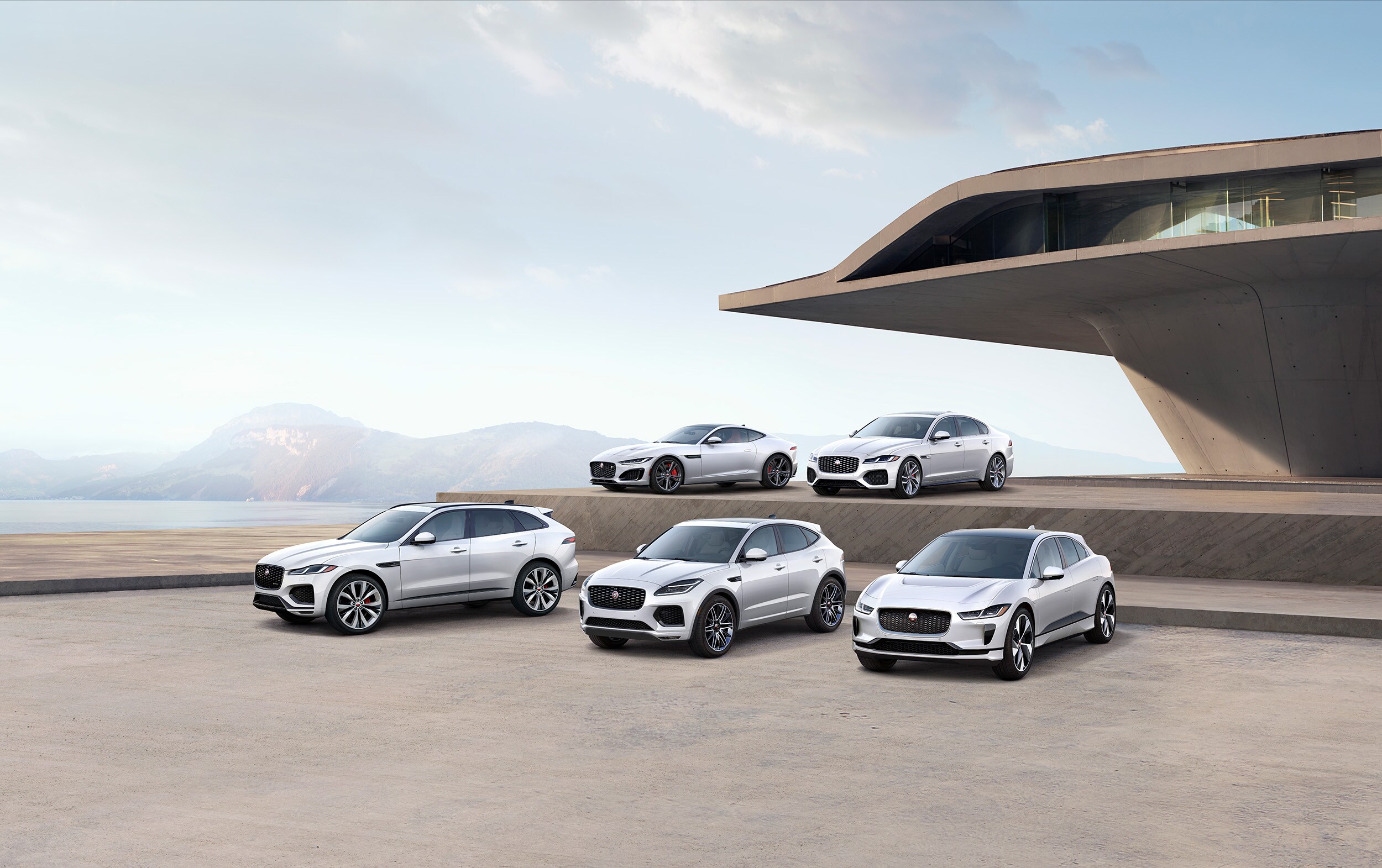 2022_Jaguar_Family.jpg