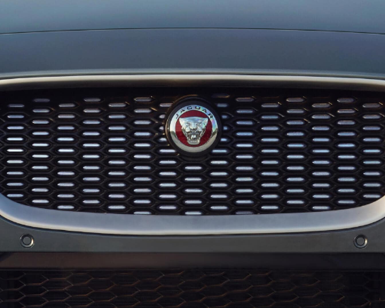WHAT IS THE JAGUAR EMBLEM?