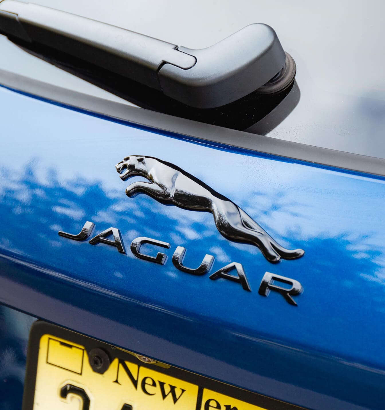 WHAT IS THE JAGUAR COMPANY LOGO?