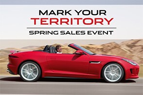 markyourterritory294px.jpg