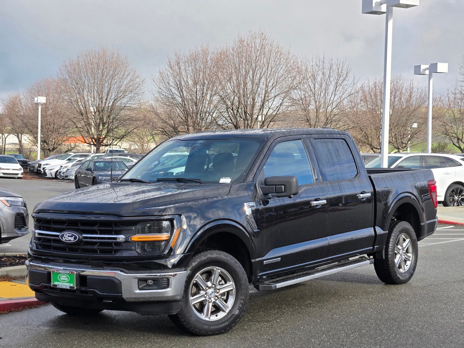 2024 Ford F-150 XLT's photo
