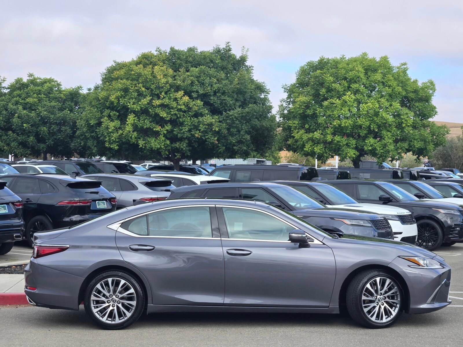 2020 Lexus ES 350 Premium photo 3