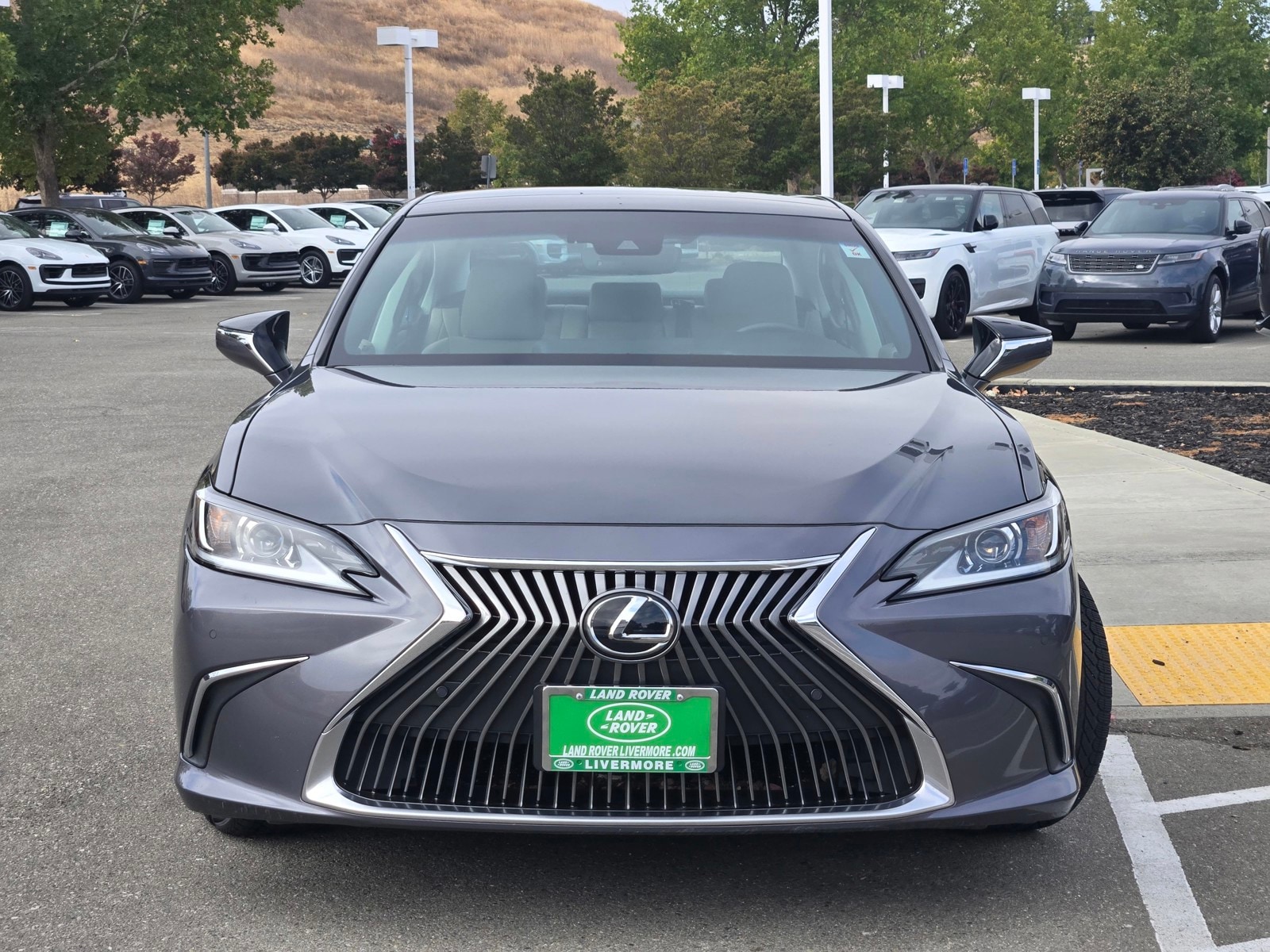 2020 Lexus ES 350 Premium photo 2