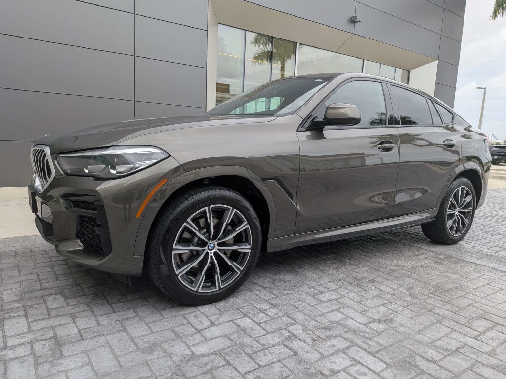2022 BMW X6