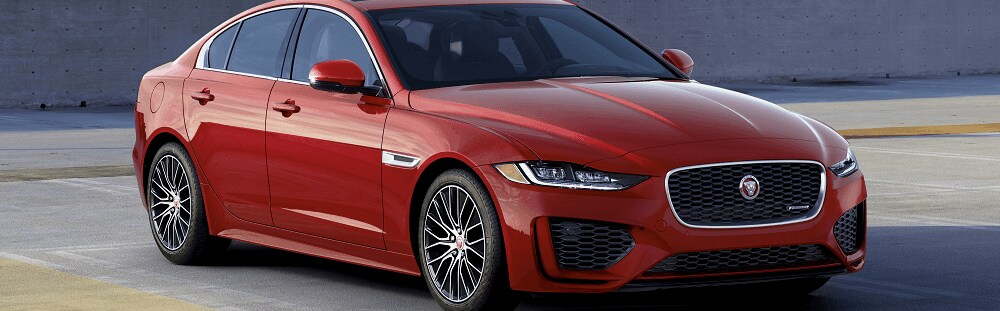 Jaguar dealer jersey Clearance