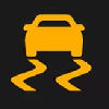 Traction Control Light