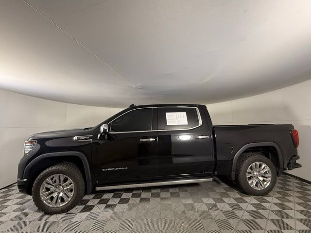 2023 Gmc Sierra 1500 Denali photo 4
