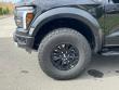 2025 Ford F-150 Raptor Pickup