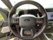 2025 Ford F-150 Raptor Pickup