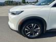 2023 INFINITI QX60 LUXE SUV