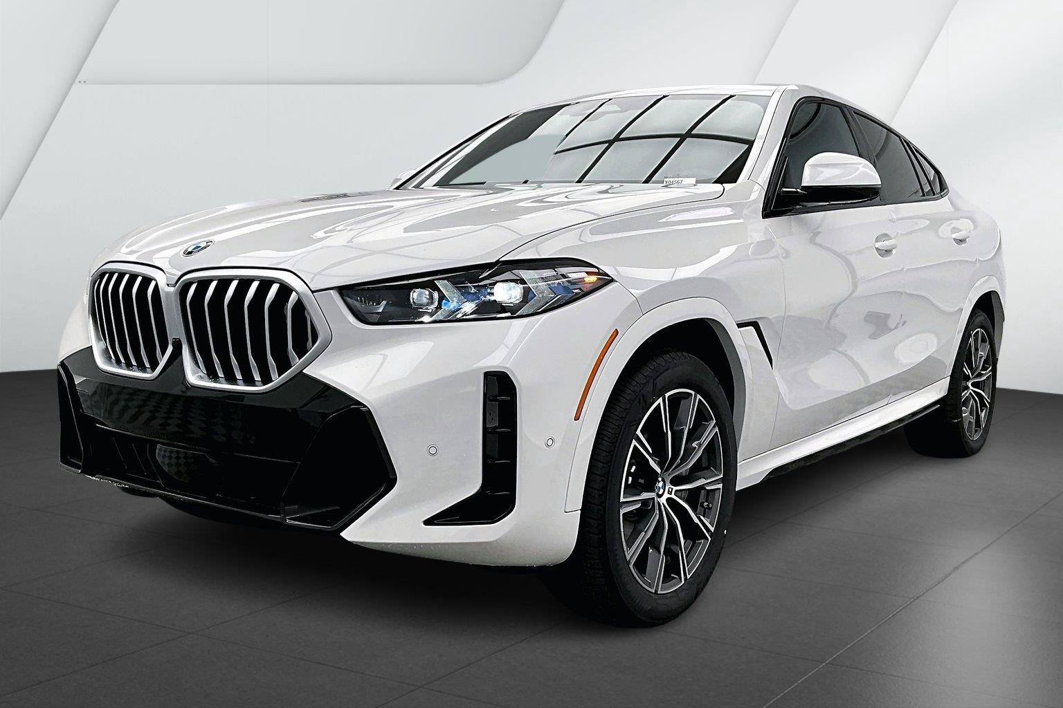 2026 BMW X6