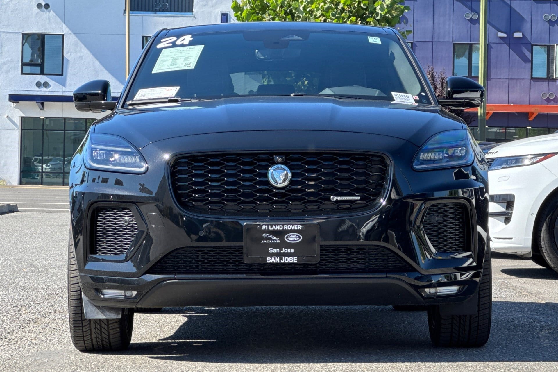 E-PACE R-Dynamic SE R-Dynamic SE P250 AWD