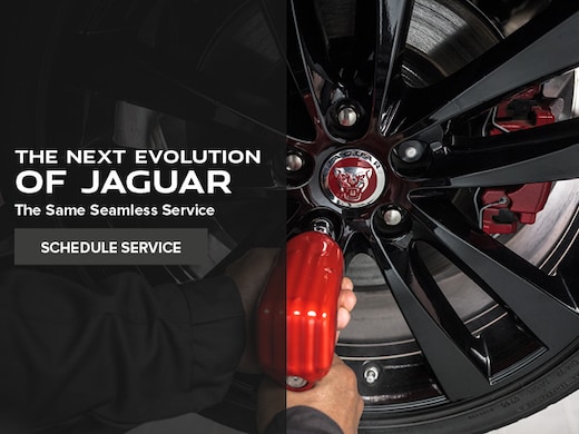 Jaguar Certified-Preowned & Service in Houston, TX