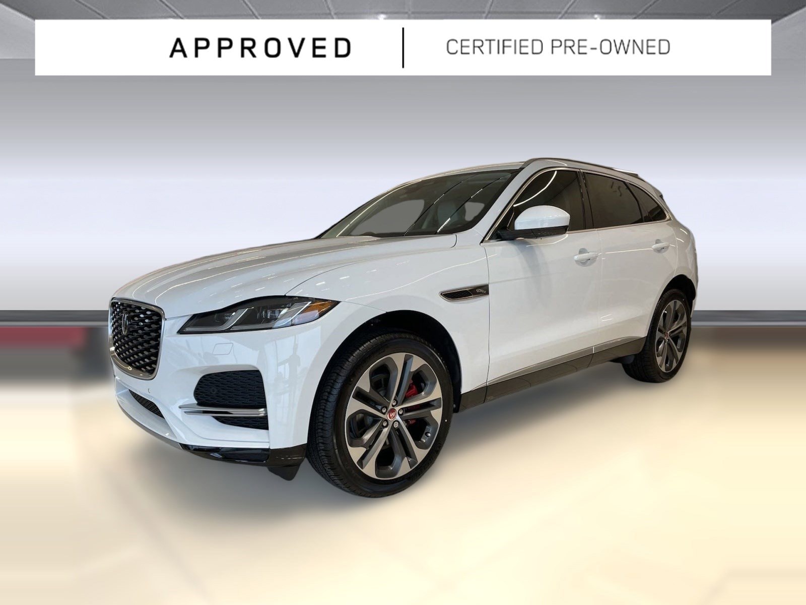 2023 Jaguar F-PACE P250 S's photo