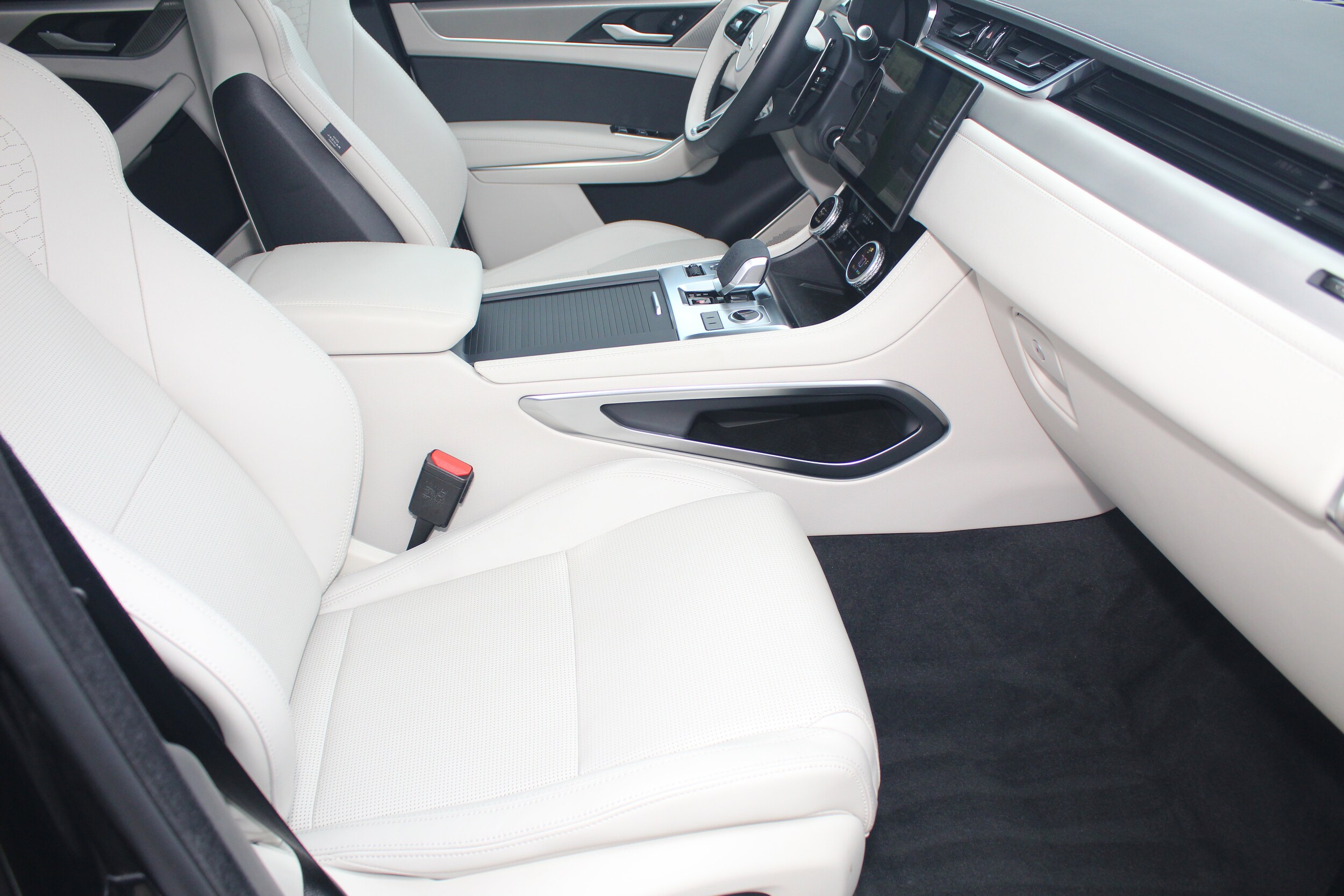2025 Jaguar F-PACE P250 R-Dynamic S photo 3