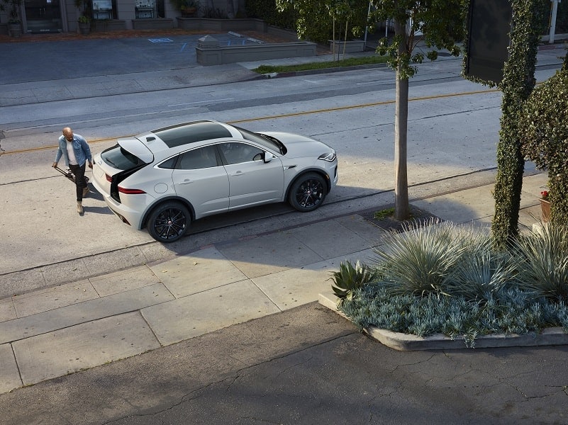 Jaguar Reviews