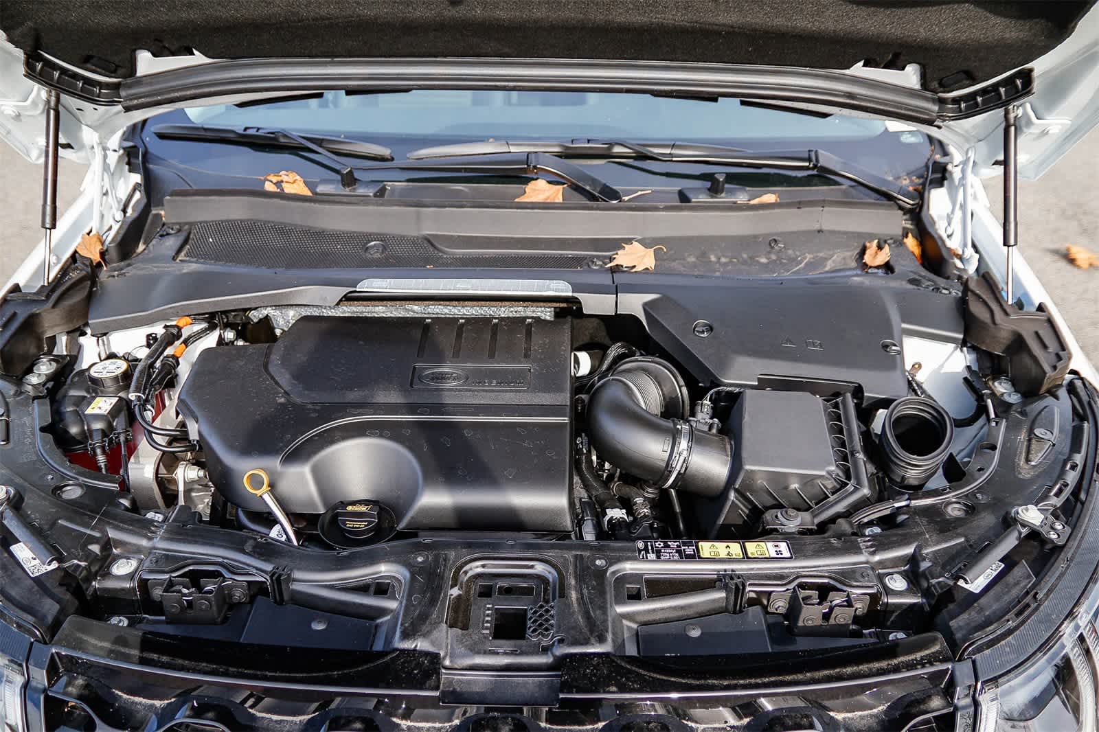 Thumbnail: 2025 Land Rover Discovery Sport - 26