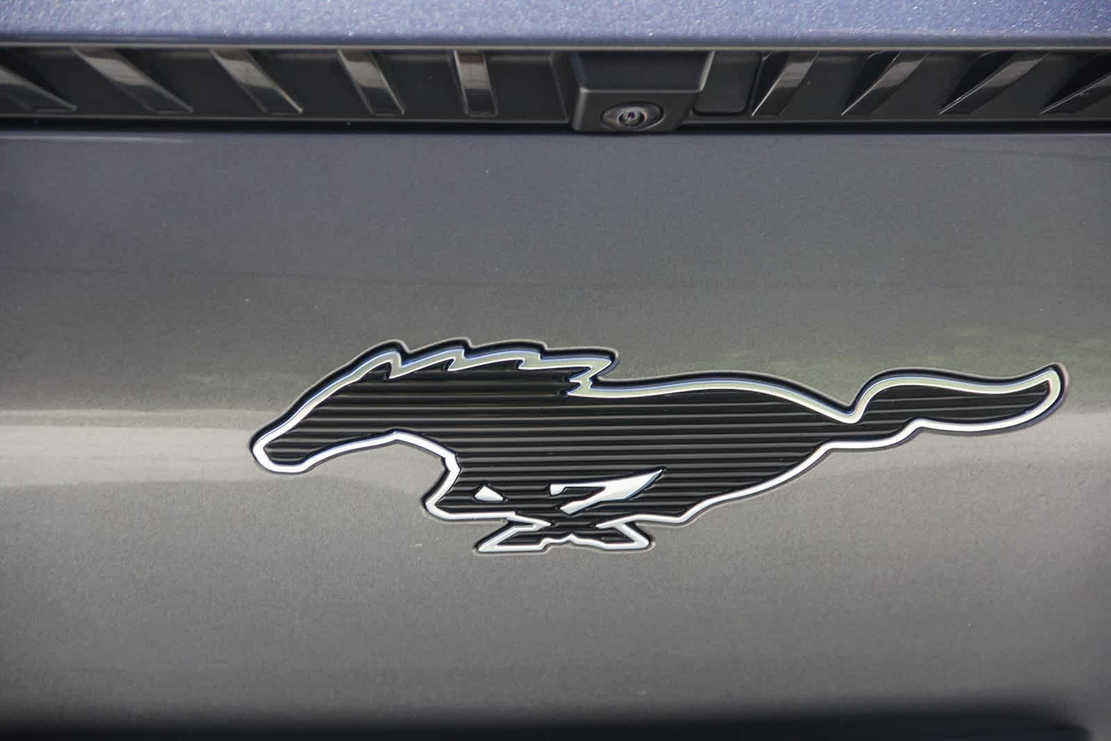 Thumbnail: 2023 Ford Mustang Mach-E - 11