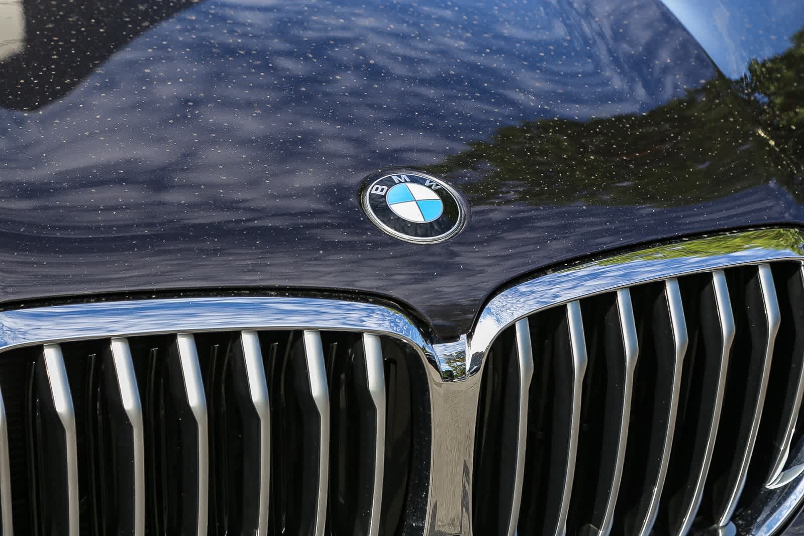 Thumbnail: 2022 BMW X5 - 5