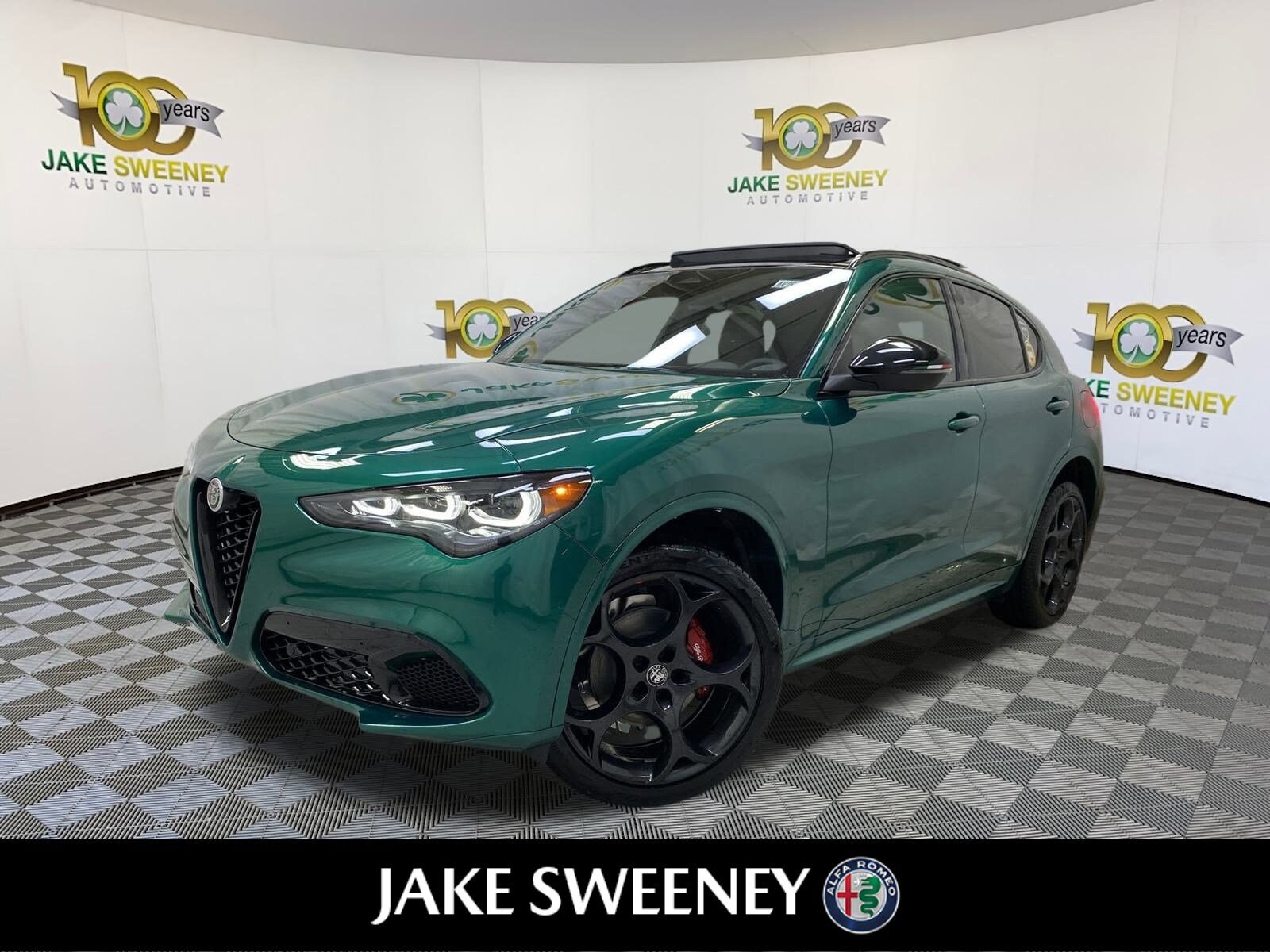 2025 Alfa Romeo Stelvio Tributo Italiano photo 4