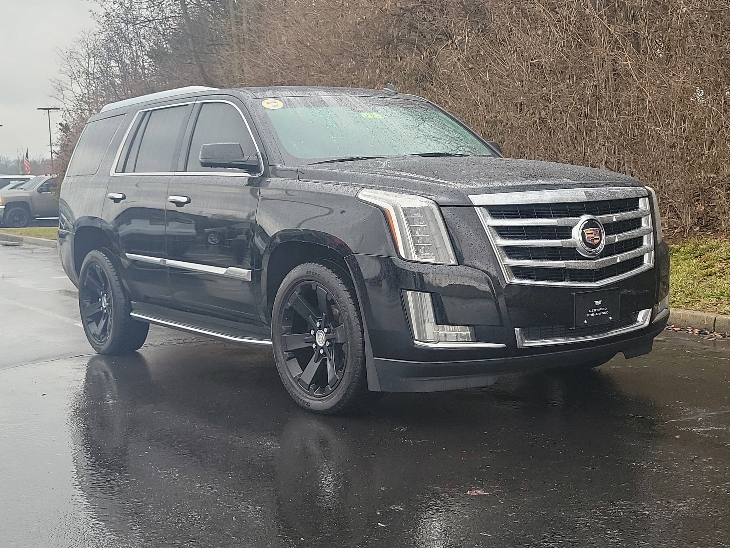 2015 Cadillac Escalade Luxury's photo