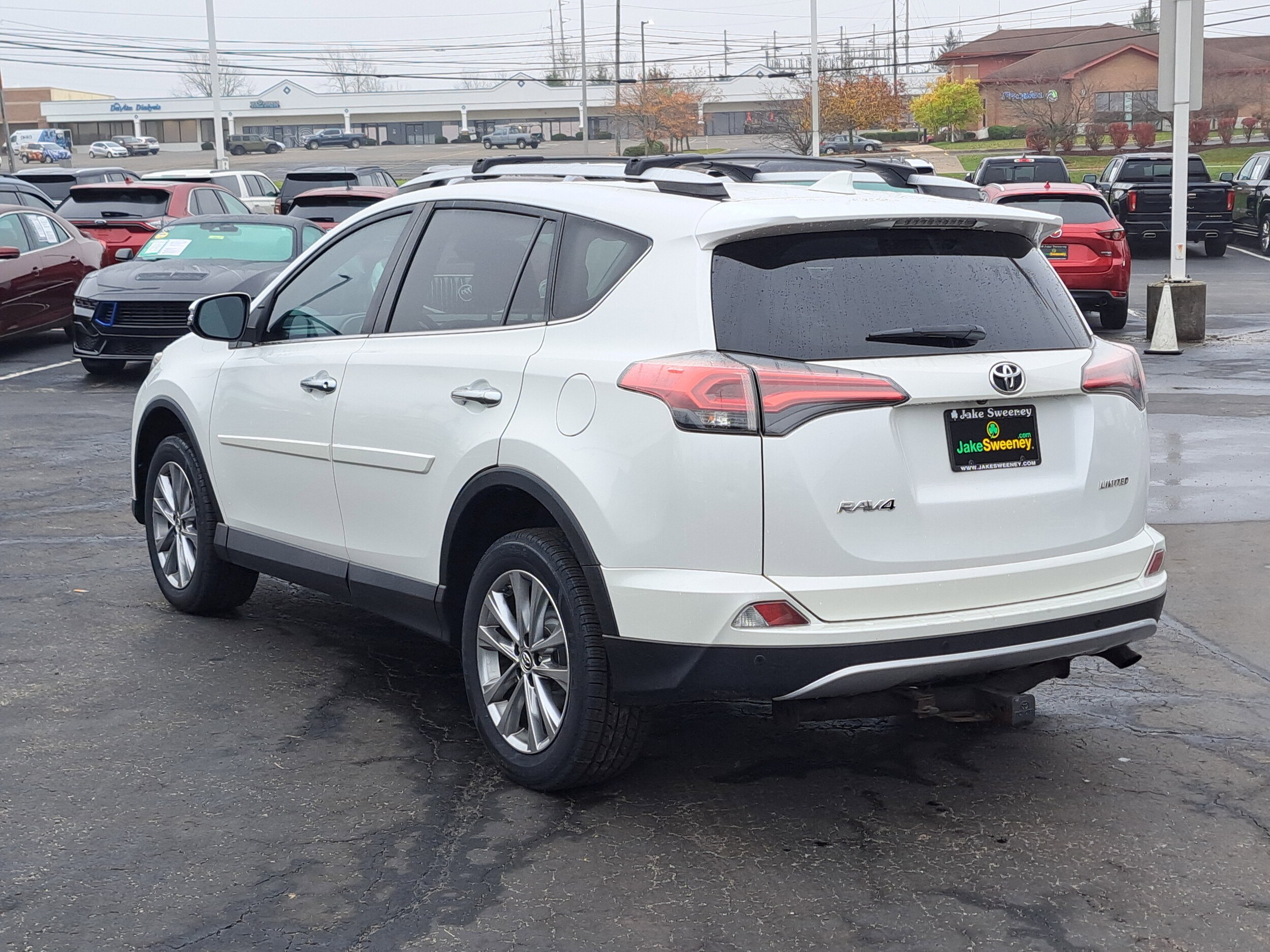 2016 Toyota RAV4 Limited photo 3