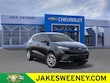  Chevrolet Bolt