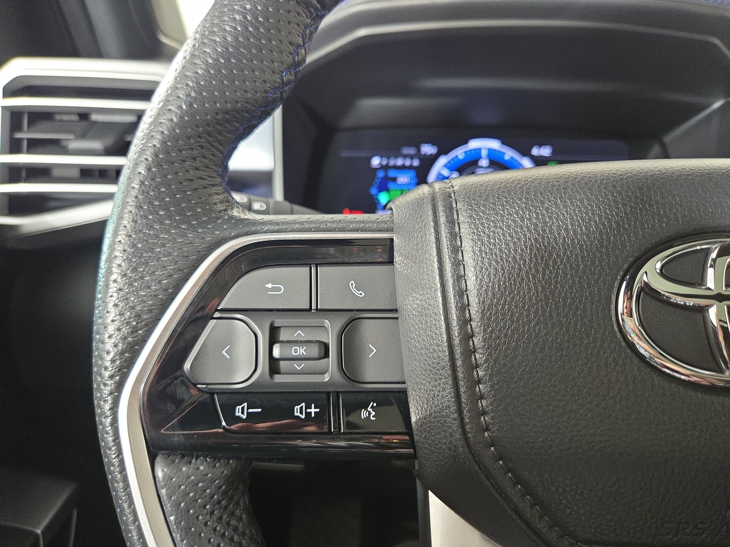 2025 Toyota Sequoia Platinum - Photo 16