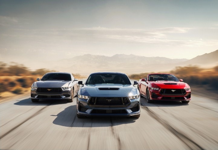 mustang ford kingston.jpeg