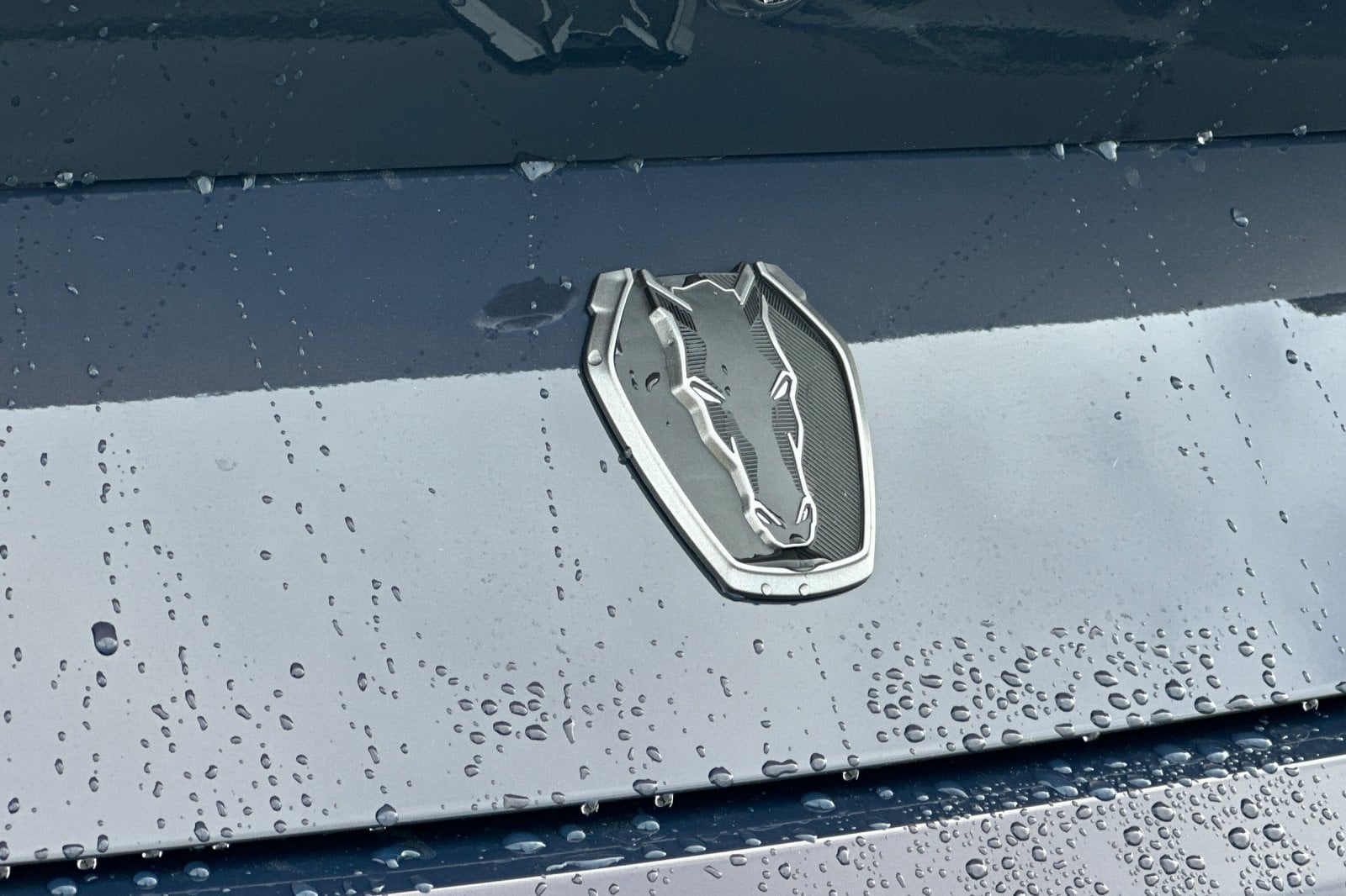 2025 Ford Mustang Dark Horse - Photo 23
