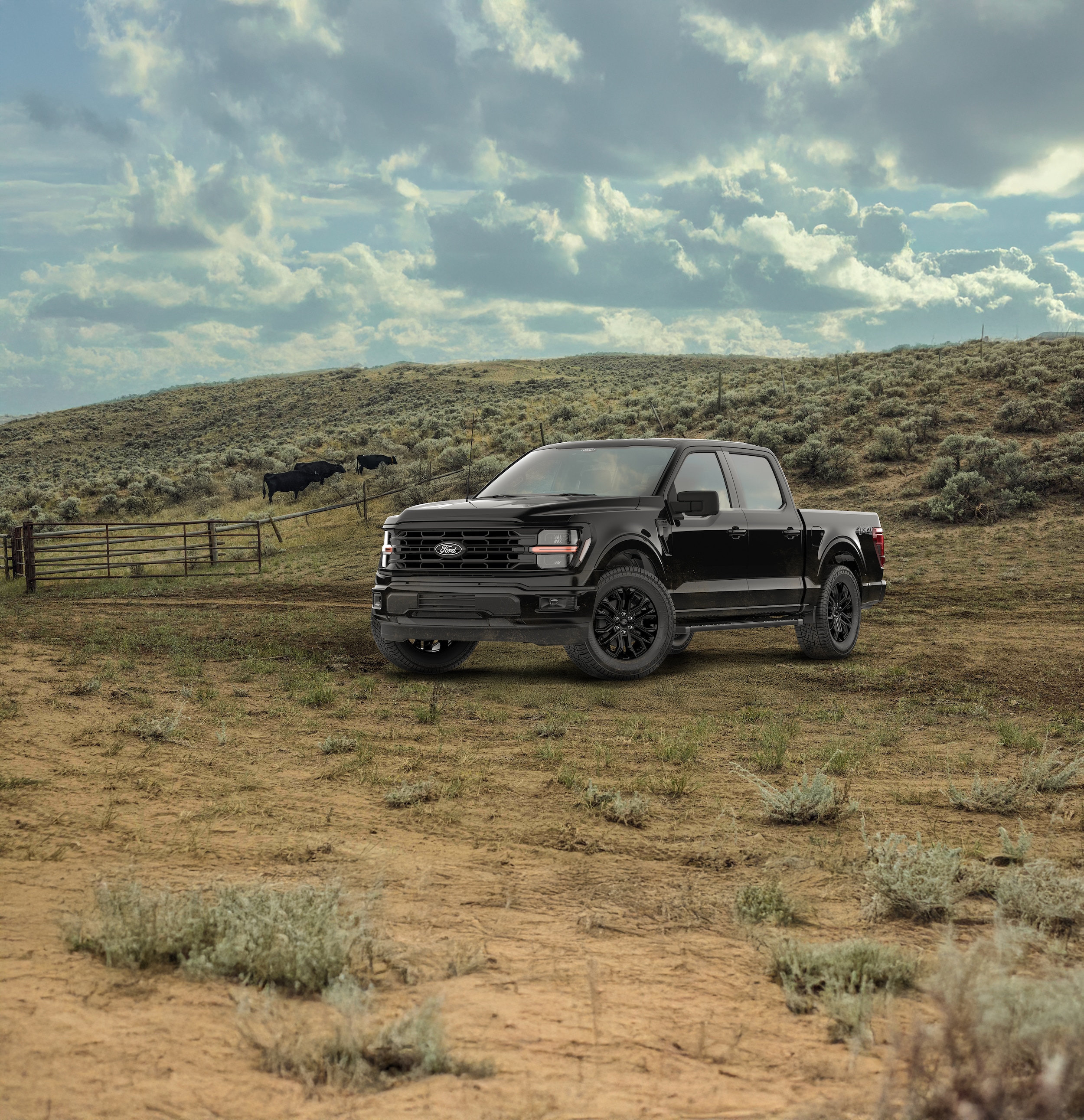 2026-Ford-F150-XLT-BlackAppearance-CrewCab-Truck-L01.jpg