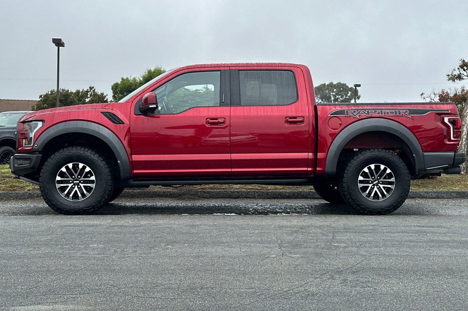 2019 Ford F-150 Raptor photo 2
