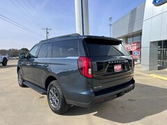 2025 Ford Expedition Active SUV