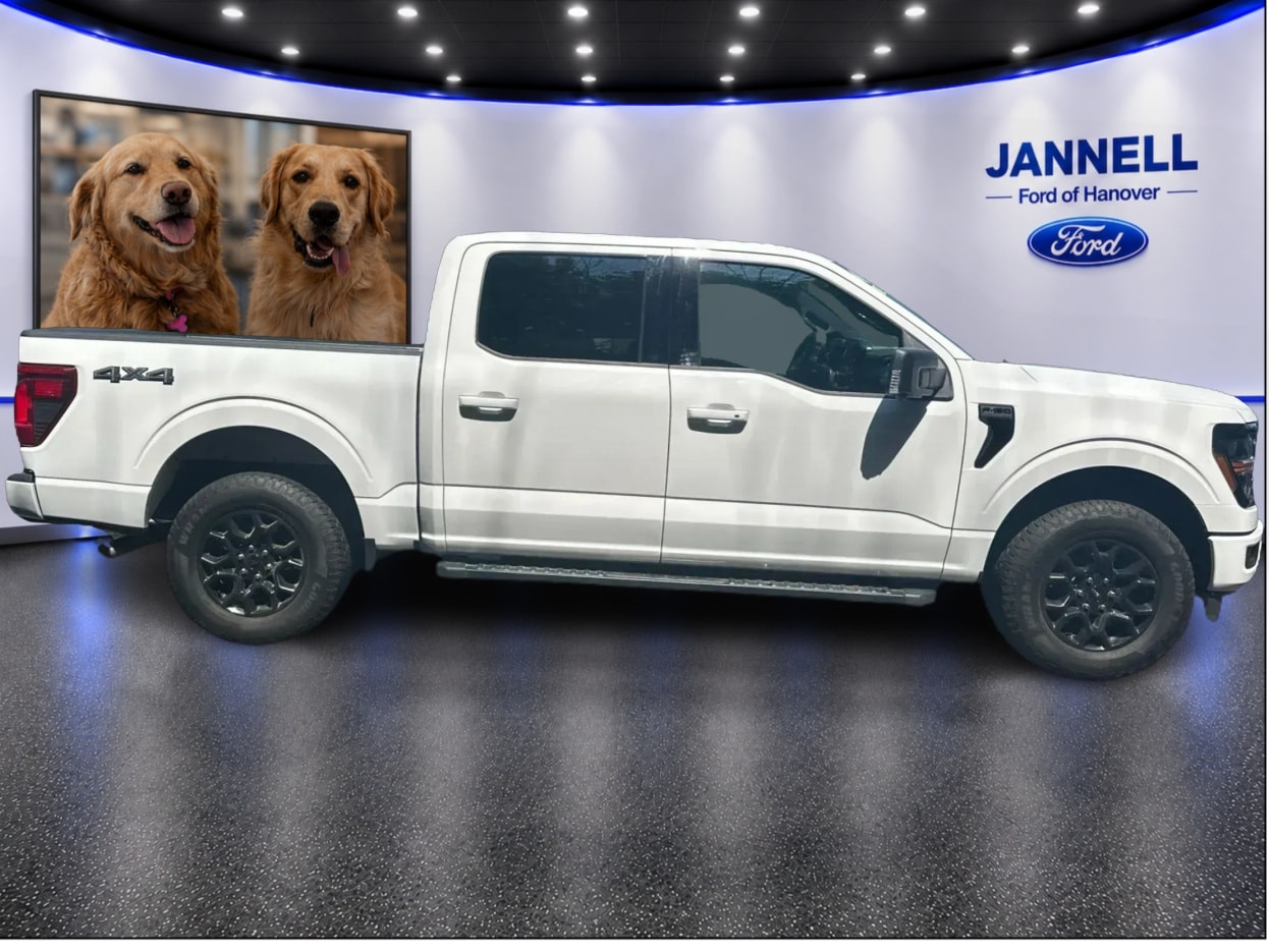2024 Ford F-150 XLT - Photo 4