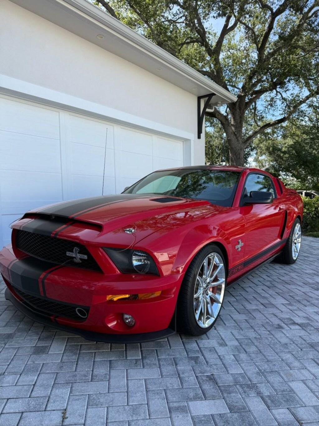 Used 2008 Ford Mustang Shelby GT500 Coupe