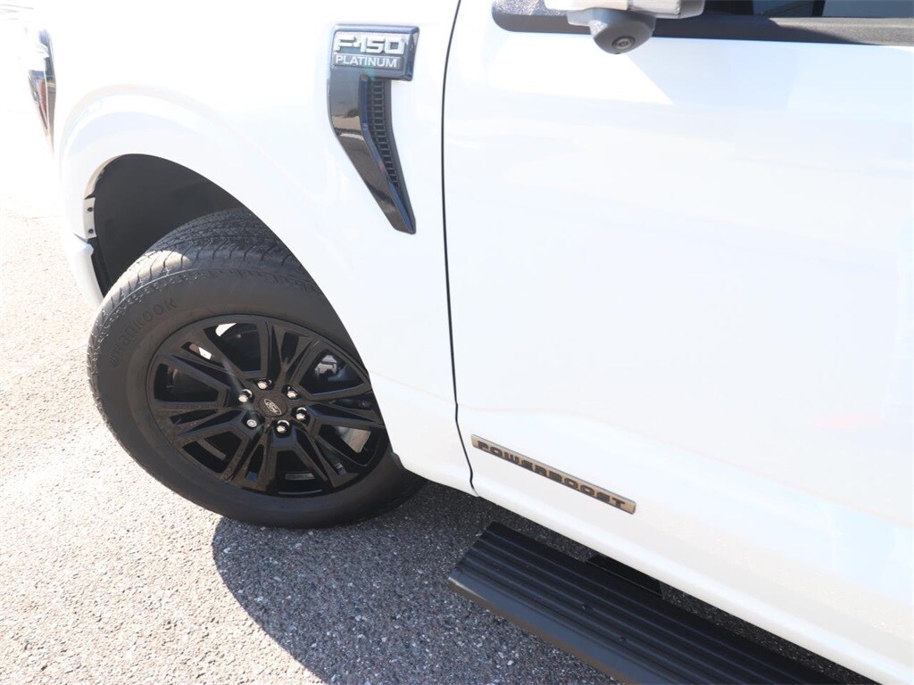 2025 Ford F-150 Platinum photo 3