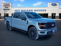 2025 Ford F-150 XLT Truck