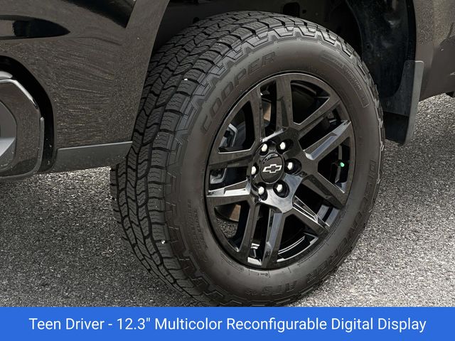 2025 Chevrolet Silverado 1500 LT Trail Boss - Photo 31