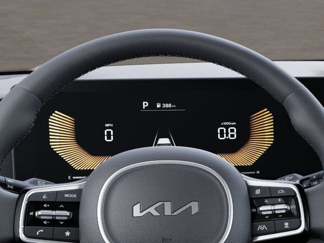 2026 Kia Carnival 20