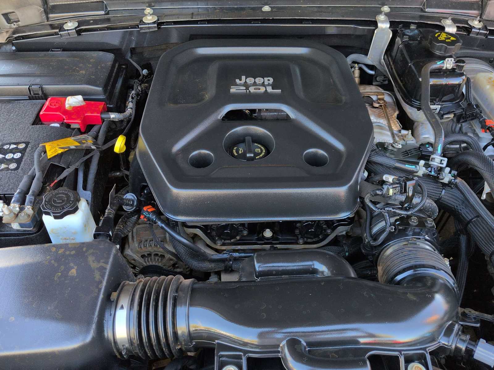 Thumbnail: 2022 Jeep Wrangler - 15