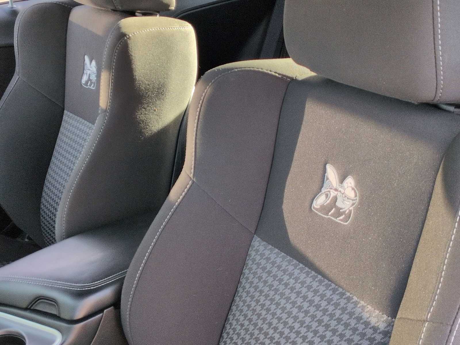 Thumbnail: 2022 Dodge Challenger - 19