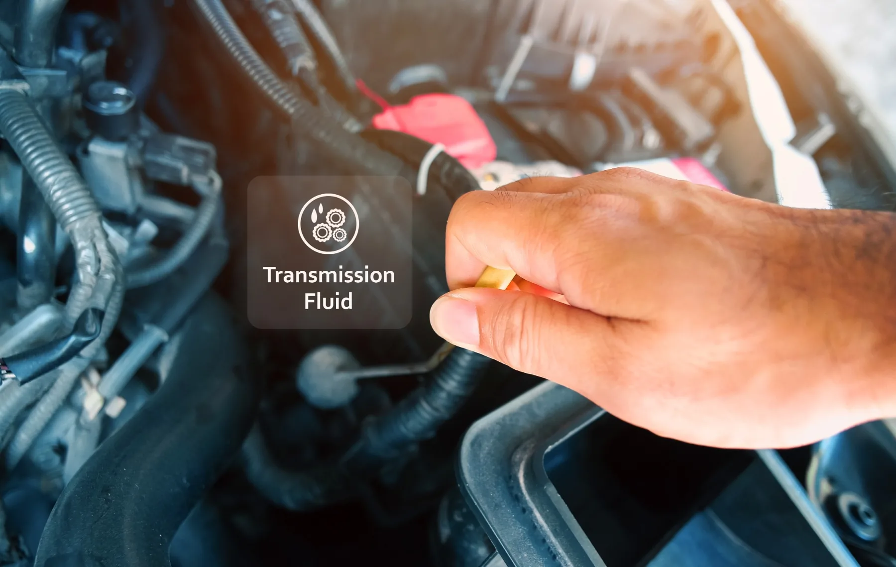 Checking transmission fluid condition under the hood