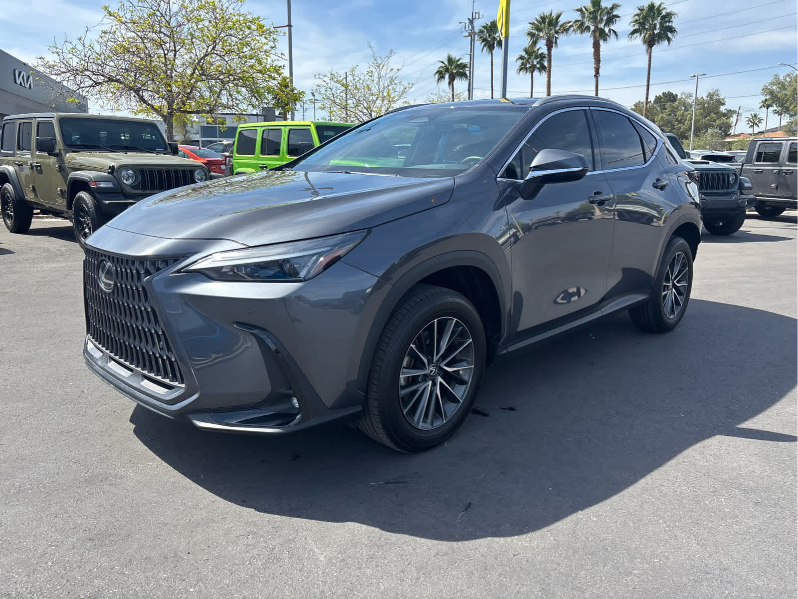 2024 Lexus NX 250