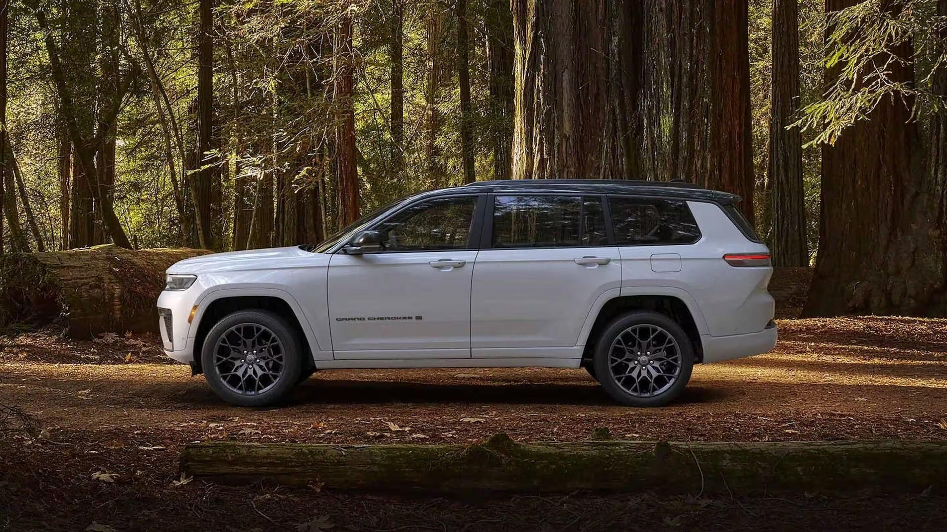 White 2027 Jeep Grand Cherokee parked in a redwood forest, side profile view
