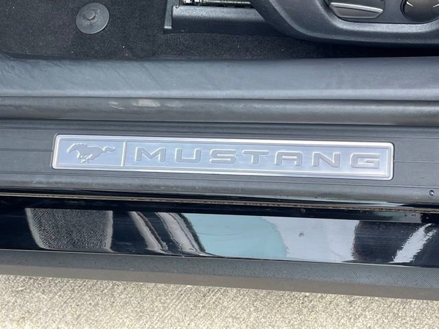 2024 Ford Mustang EcoBoost - Photo 17
