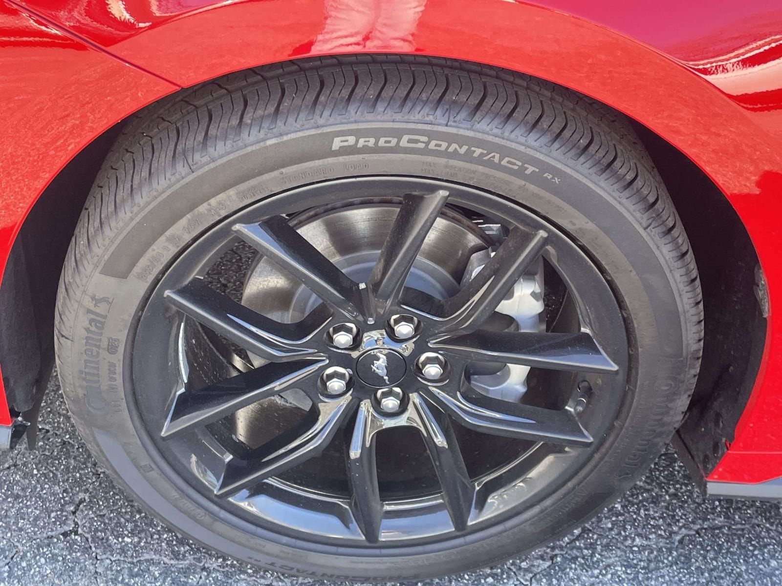 2025 Ford Mustang EcoBoost Premium Fastback - Photo 7