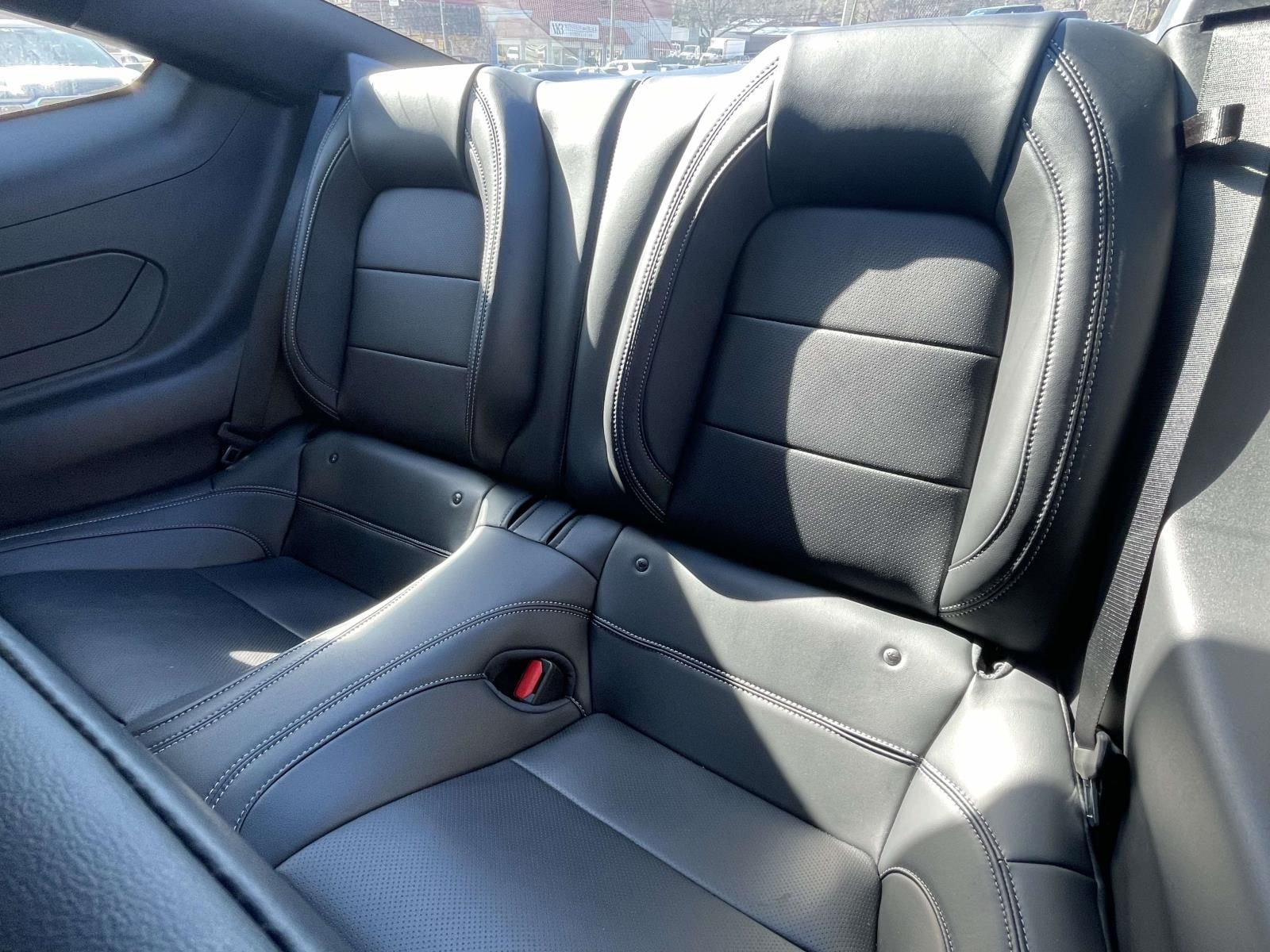 2025 Ford Mustang EcoBoost Premium Fastback - Photo 8