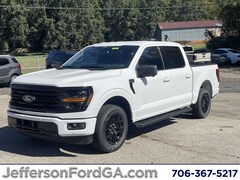 2025 Ford F-150 XLT Truck for sale in Forsyth County, GA